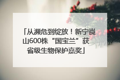 从濒危到绽放！新宁崀山600株“国宝兰”获省级生物保护嘉奖