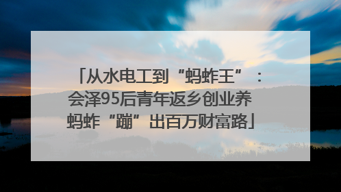 从水电工到“蚂蚱王”：会泽95后青年返乡创业养蚂蚱“蹦”出百万财富路