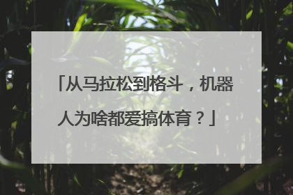 从马拉松到格斗，机器人为啥都爱搞体育？