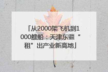 从2000架飞机到1000艘船：天津东疆“租”出产业新高地