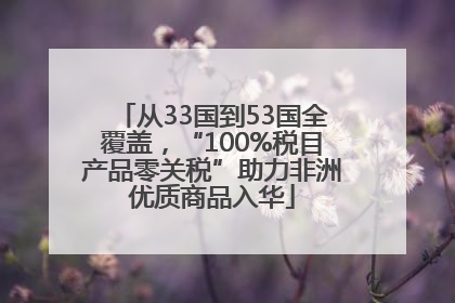从33国到53国全覆盖，“100%税目产品零关税”助力非洲优质商品入华