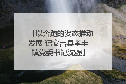 以奔跑的姿态推动发展 记安吉县孝丰镇党委书记沈强