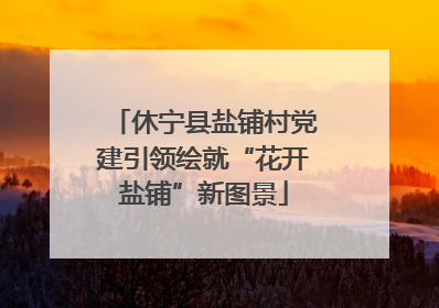 休宁县盐铺村党建引领绘就“花开盐铺”新图景
