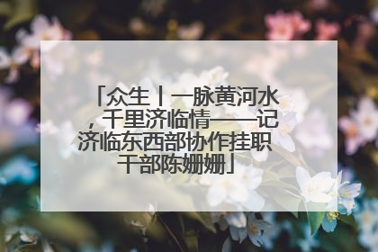 众生丨一脉黄河水，千里济临情——记济临东西部协作挂职干部陈姗姗