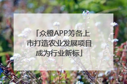 众橙APP筹备上市打造农业发展项目成为行业新标