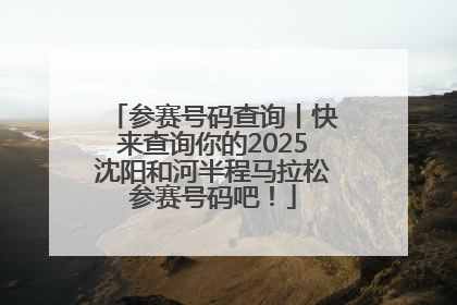 参赛号码查询丨快来查询你的2025沈阳和河半程马拉松参赛号码吧！