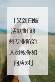 又到白蚁活跃期 池州专业防治人员教你如何应对