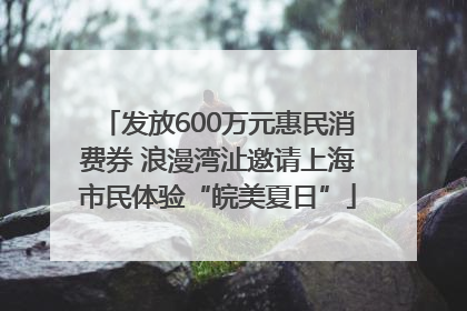 发放600万元惠民消费券 浪漫湾沚邀请上海市民体验“皖美夏日”