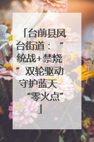 台前县凤台街道：“统战+禁烧”双轮驱动守护蓝天 “零火点”