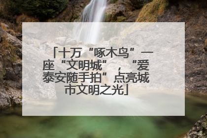 十万“啄木鸟”一座“文明城”，“爱泰安随手拍”点亮城市文明之光
