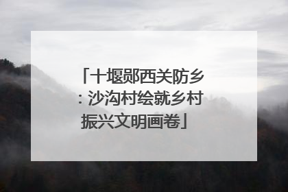 十堰郧西关防乡：沙沟村绘就乡村振兴文明画卷