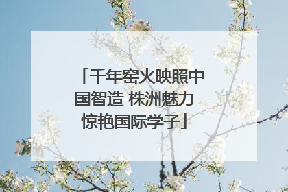千年窑火映照中国智造 株洲魅力惊艳国际学子