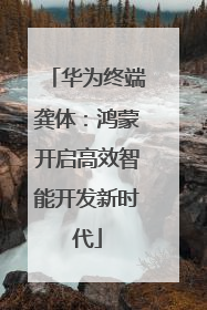 华为终端龚体：鸿蒙开启高效智能开发新时代