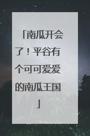 南瓜开会了！平谷有个可可爱爱的南瓜王国