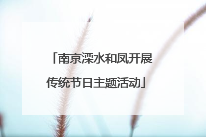 南京溧水和凤开展传统节日主题活动