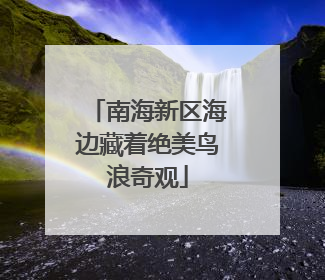 南海新区海边藏着绝美鸟浪奇观