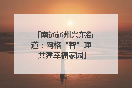南通通州兴东街道：网格“智”理 共建幸福家园
