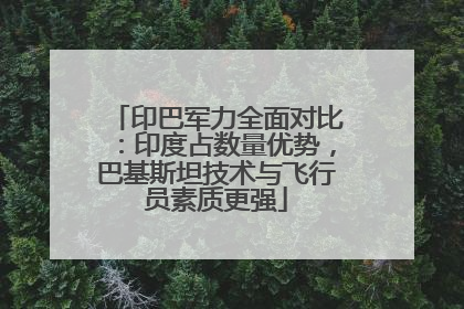 印巴军力全面对比：印度占数量优势，巴基斯坦技术与飞行员素质更强