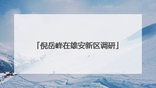 倪岳峰在雄安新区调研