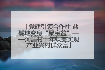 党建引领合作社 盐碱地变身“聚宝盆”——河涯村十年蝶变实现产业兴村群众富