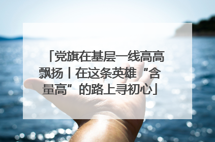 党旗在基层一线高高飘扬丨在这条英雄“含量高”的路上寻初心