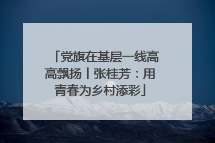 党旗在基层一线高高飘扬丨张桂芳：用青春为乡村添彩