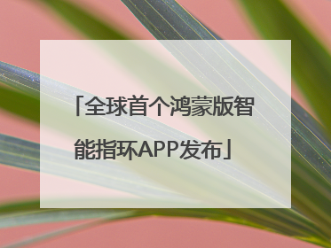全球首个鸿蒙版智能指环APP发布