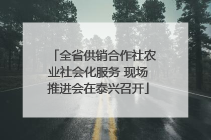 全省供销合作社农业社会化服务 现场推进会在泰兴召开
