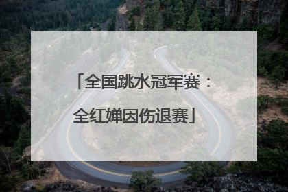 全国跳水冠军赛：全红婵因伤退赛