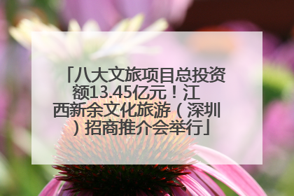 八大文旅项目总投资额13.45亿元！江西新余文化旅游（深圳）招商推介会举行