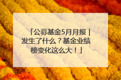 公募基金5月月报｜发生了什么？基金业绩榜变化这么大！