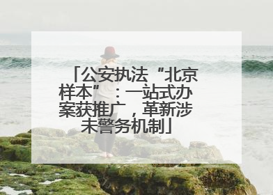 公安执法“北京样本”：一站式办案获推广，革新涉未警务机制