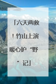 六天两救！竹山上演暖心护“野”记