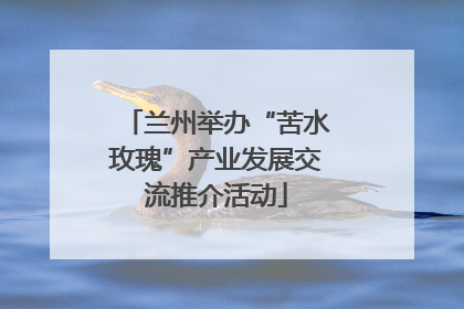 兰州举办“苦水玫瑰”产业发展交流推介活动