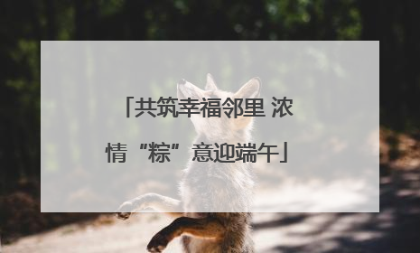 共筑幸福邻里 浓情“粽”意迎端午