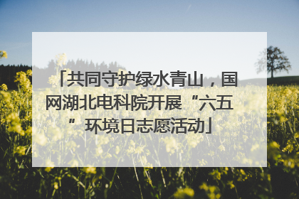 共同守护绿水青山，国网湖北电科院开展“六五”环境日志愿活动