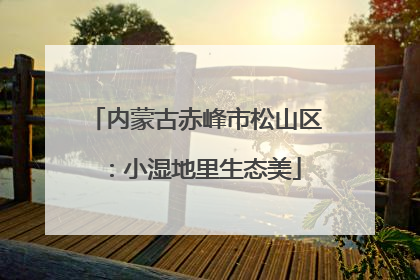 内蒙古赤峰市松山区：小湿地里生态美