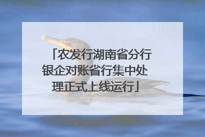 农发行湖南省分行银企对账省行集中处理正式上线运行