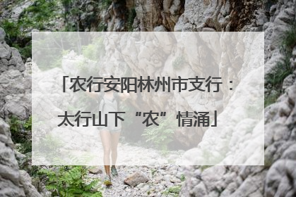 农行安阳林州市支行：太行山下“农”情涌