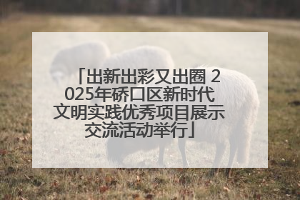 出新出彩又出圈 2025年硚口区新时代文明实践优秀项目展示交流活动举行
