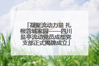 凝聚流动力量 扎根蓉城家园——四川盐亭流动党员成都党支部正式揭牌成立