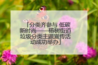 分类齐参与 低碳新时尚——椿树街道垃圾分类主题宣传活动成功举办