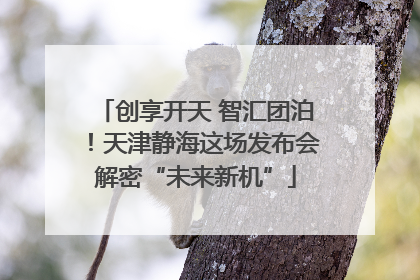 创享开天 智汇团泊！天津静海这场发布会解密“未来新机”
