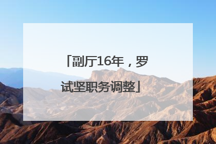副厅16年，罗试坚职务调整