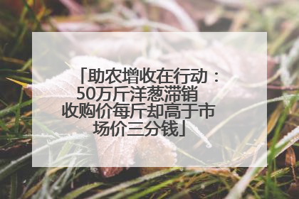 助农增收在行动：50万斤洋葱滞销 收购价每斤却高于市场价三分钱