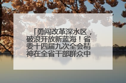 勇闯改革深水区，破浪开放新蓝海！省委十四届九次全会精神在全省干部群众中引发热烈反响