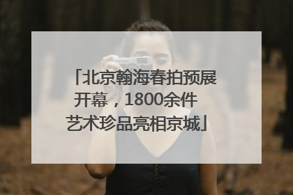 北京翰海春拍预展开幕，1800余件艺术珍品亮相京城