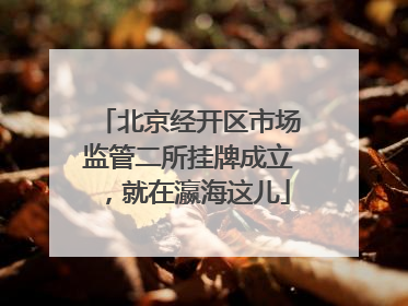 北京经开区市场监管二所挂牌成立，就在瀛海这儿