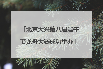 北京大兴第八届端午节龙舟大赛成功举办