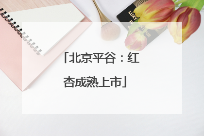 北京平谷：红杏成熟上市